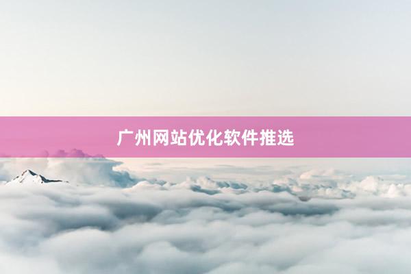 广州网站优化软件推选