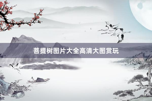 菩提树图片大全高清大图赏玩