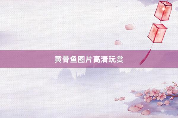 黄骨鱼图片高清玩赏